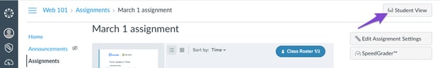 Canvas, student view button, arrow, cropped
